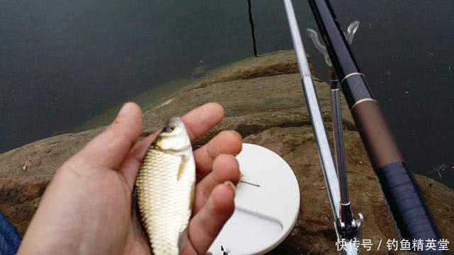 浮漂有动作,提竿却不中鱼,这种情况该如何应对