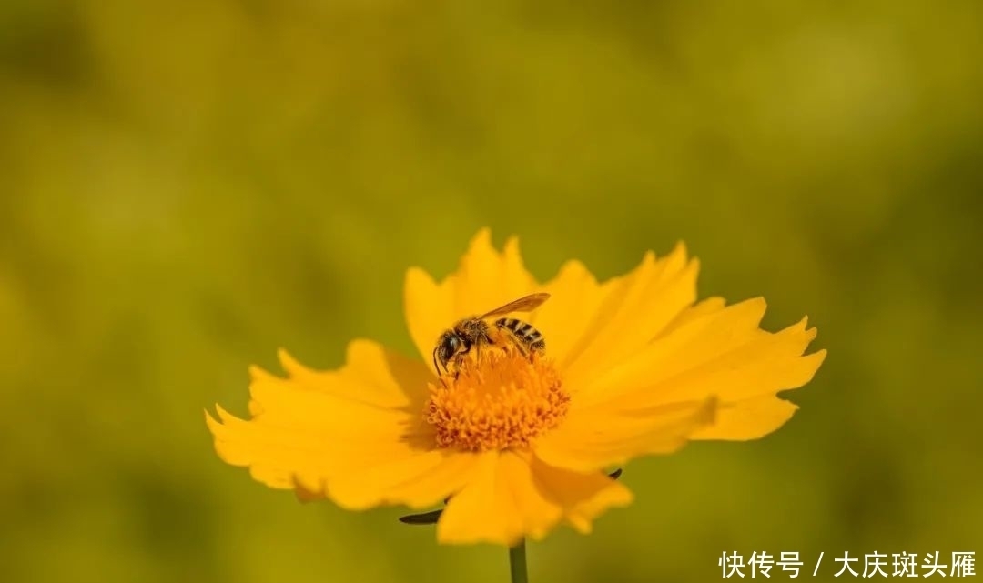  尊重|尊重（写得真好）