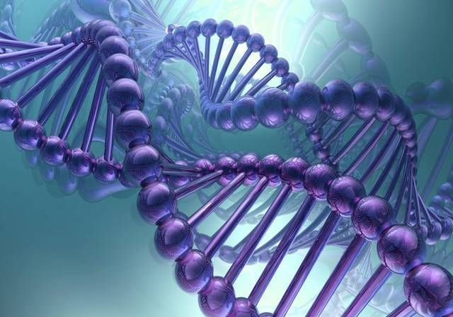 胎儿|畸形宝宝的出现,多和“吃”有关,这些食物要少吃,别不听劝