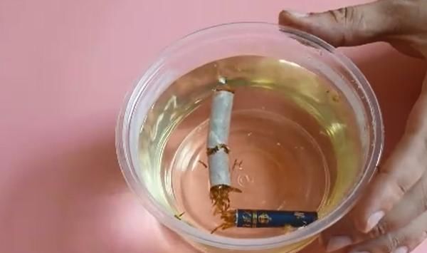 香烟|纱窗脏了根本不用拆下来洗，只需用一根香烟，纱窗立马干净如新
