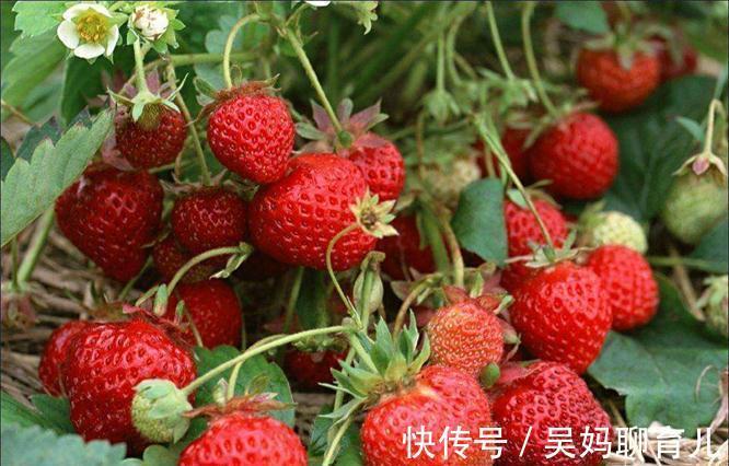 微量元素|好食物吃出好身体,3种食物不可少,保湿护肤,有益健康!