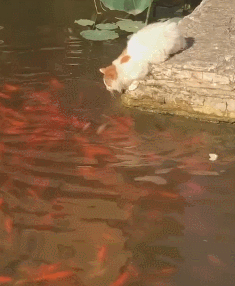 |幽默笑话:老婆肚子不争气,连生八胎,都是姑娘