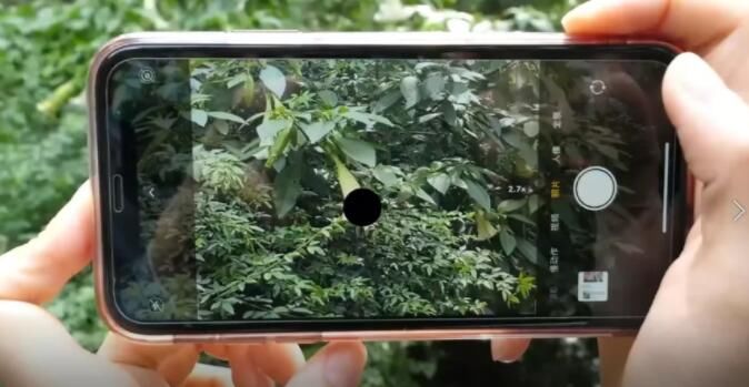 黑点|眼前有小黑点别不当回事，可能是视网膜脱离的第三部曲