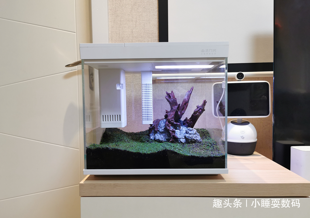哪种鱼缸更适合养鱼画法几何AI智能鱼缸，水质监测还能自动喂食