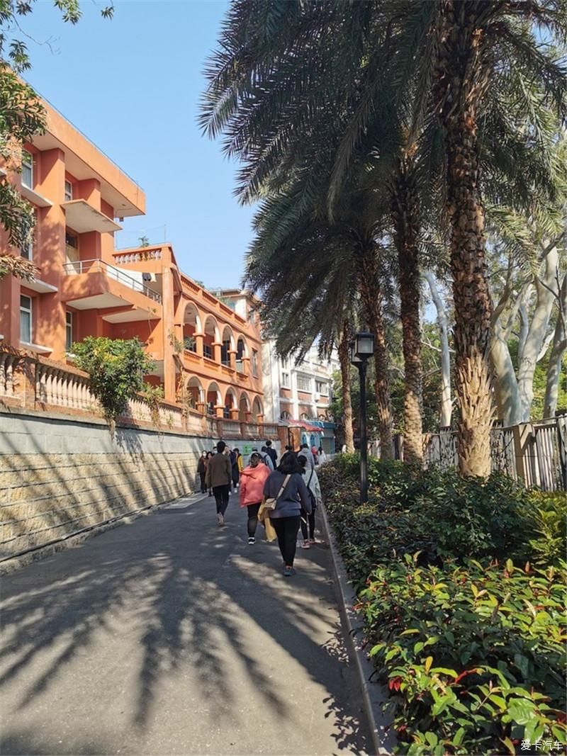 花海|厦门自由行