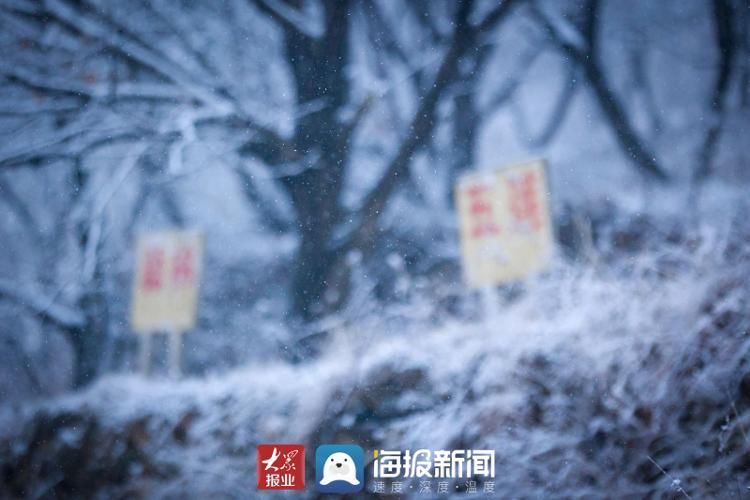 仙境|山东日照：玉树琼枝，银装素裹 雪中大青山开启仙境模式