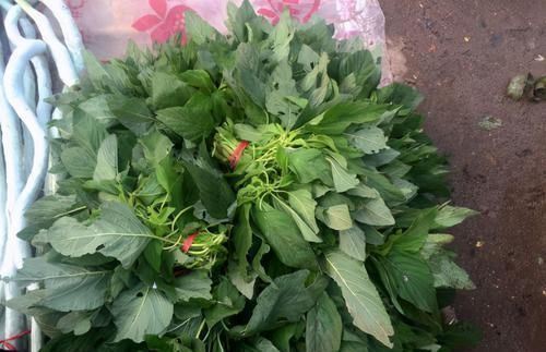 炒土豆丝|聪明人都在吃3种食物,营养丰富、改善体质,好处多多!