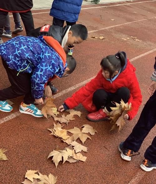  捡拾落叶|以桐叶为笔写诗作画， 这群小学生和梧桐树叶有个约会