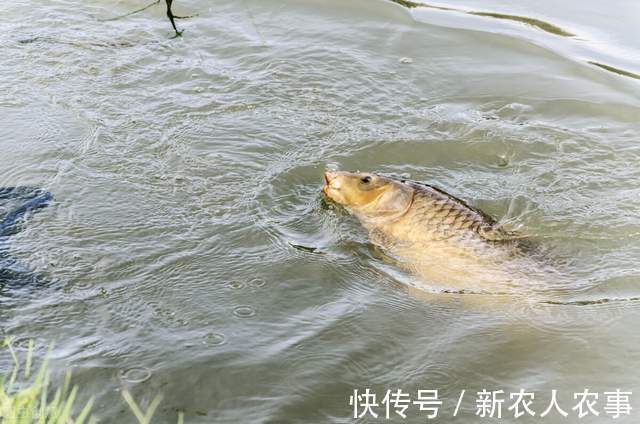 安徽一男子火了,直接坐在自己家的屋中钓鱼,网友:房子不卖吧?