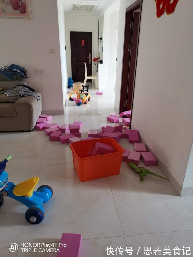 新房|摊上个邋遢媳妇，35万装修的新房半年乱成了狗窝，估计你们没见过