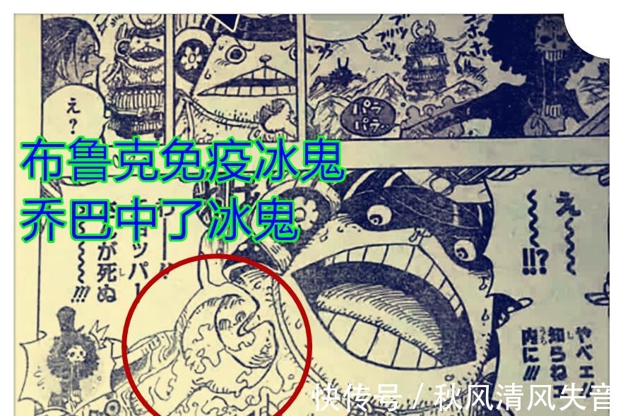 山治|海贼王995话奎因认定山治是第二战力,索隆被奎因判断是三号角色