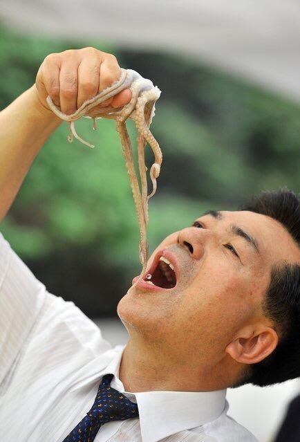 韩国人怎么吃得下这玩意？听说还是高级料理，网友：看得头皮发麻