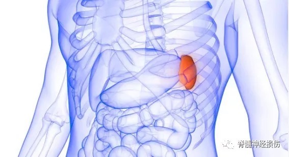 中医|看看你的病适合中医还是西医！