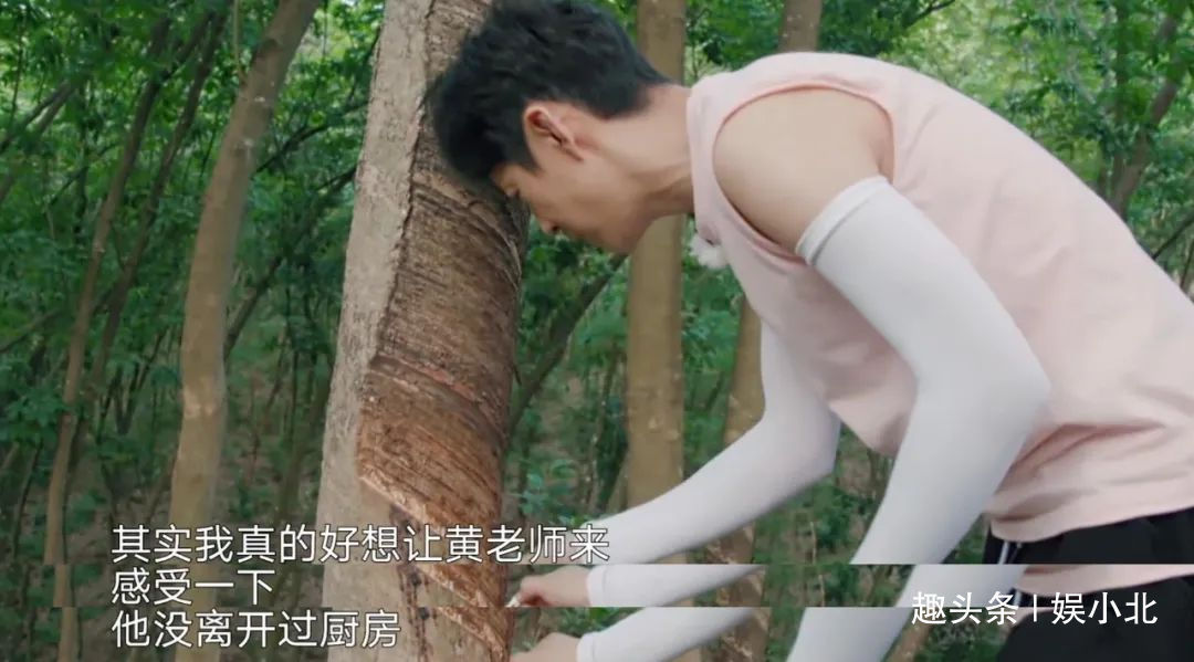 蘑菇|嘉宾重复请、广告太频繁、农活总干不完,被《向往4》劝退