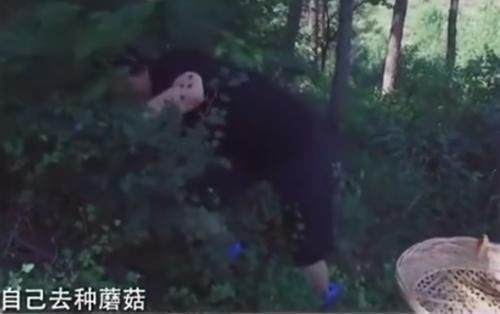 穿帮镜头 《向往的生活》多次被批穿帮造假,替身做饭,导演10字说出真相