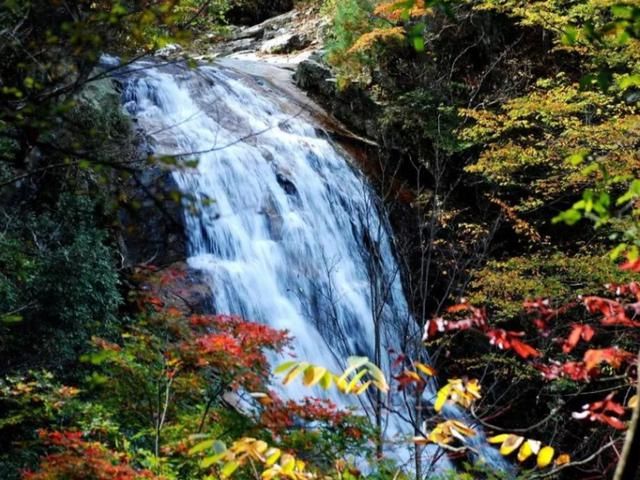 天堂|我国免门票的零差评5A景区，有人间小天堂之称