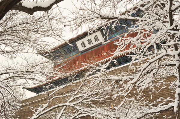 总有一场风雪，为你而来