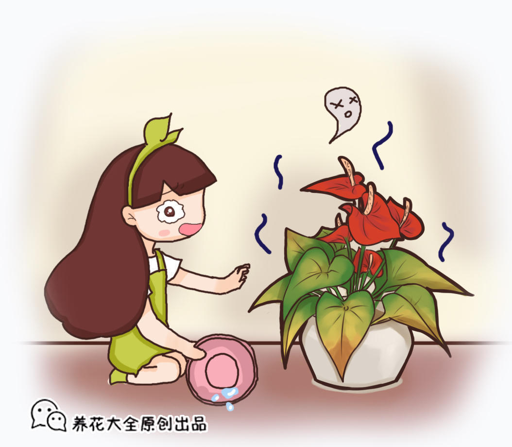 隔夜茶|浇花选水要谨慎,这四种水被称作“夺命水”,千万不能用