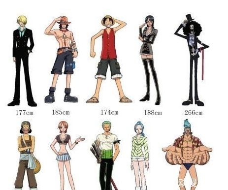 路飞|《海贼王》身高排行,自从看了海贼,楼都不觉得高了