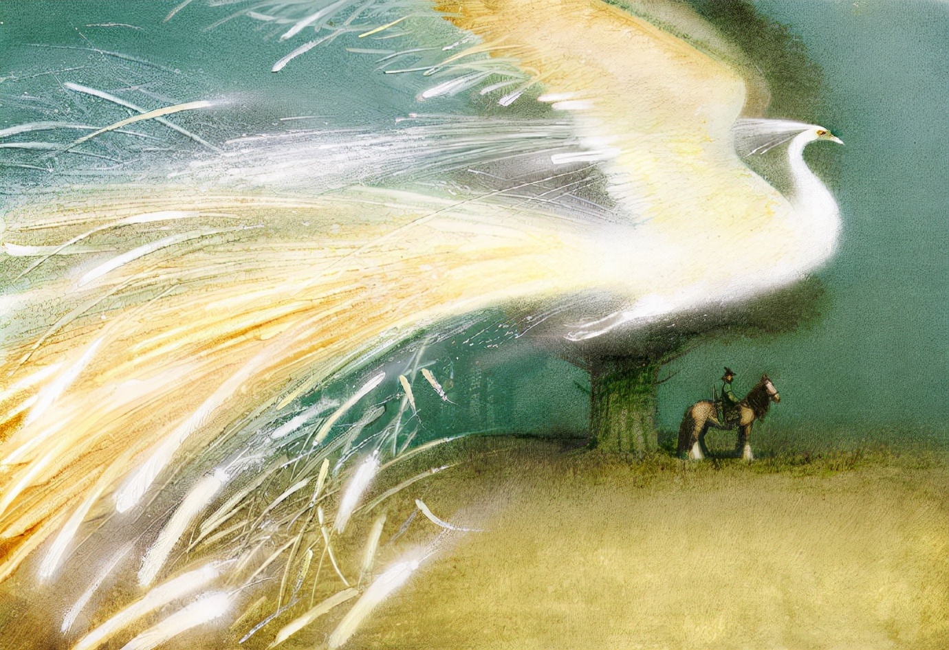 欧尼科夫!插画家欧尼科夫:画风瑰丽,笔触细腻,充满着独特的想象力