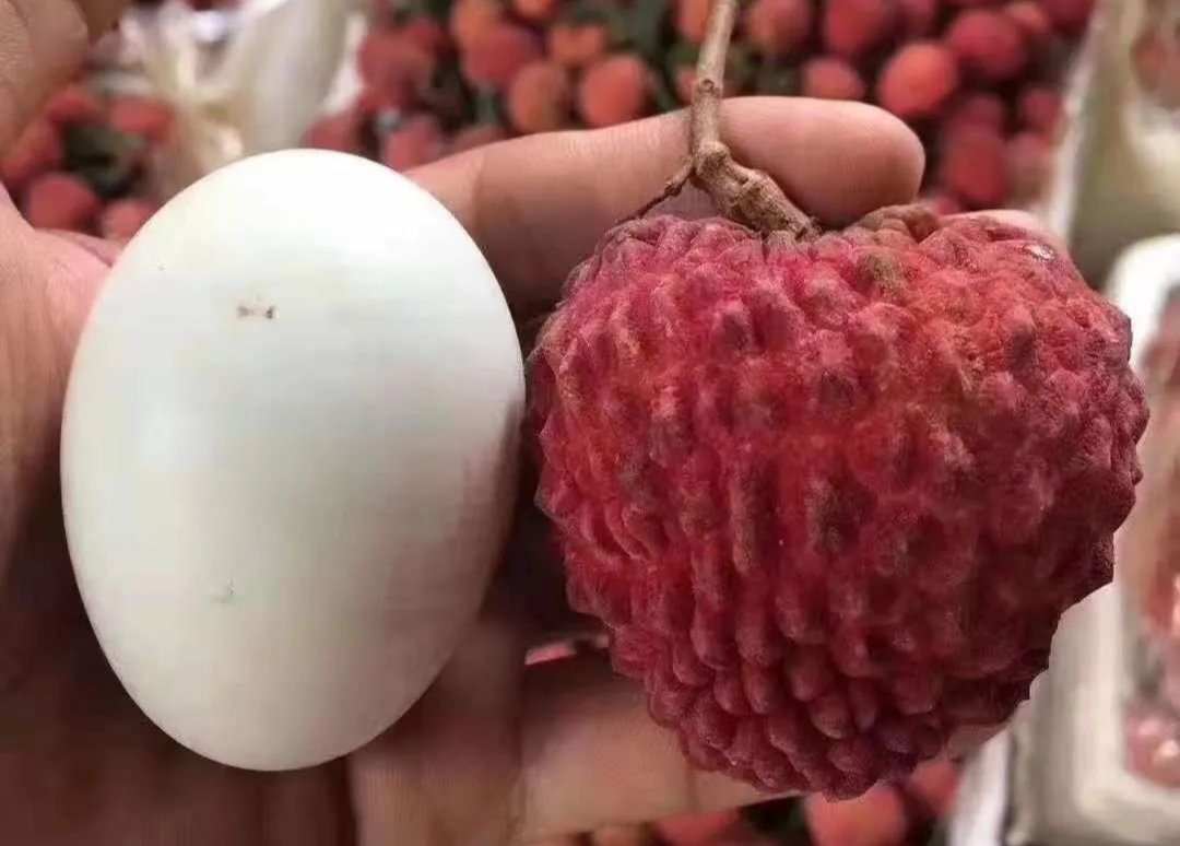 热度|这几款产品最近上了热度飙升榜，你买过吗？