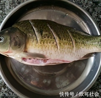 心脑血管|鲫鱼豆腐汤，这样做汤汁奶白，不粘锅，味道鲜美