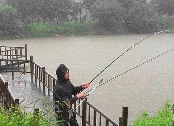 入秋下雨天钓鱼，钓深还是钓浅，垂钓大师一般这样选择！