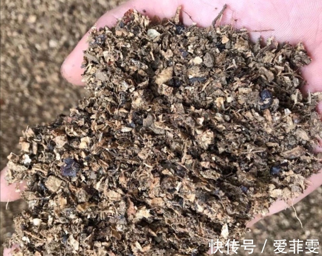 在家自制营养土，松软透气养分足，轻松养好各种花