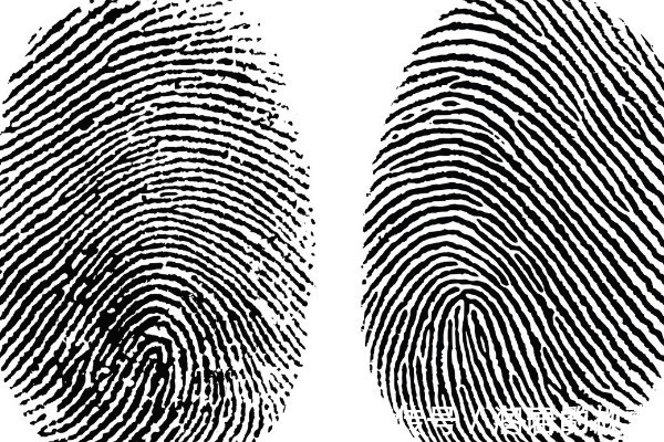 俗语#俗语:“十指簸箕没有斗”,其实后半句才经典,看看你有几个斗?