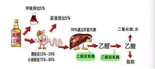 解酒最快的方法是什么？