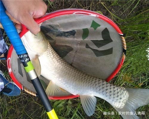 钓友们|夏季梅雨期降雨多难钓鱼,学会这三点技巧,梅雨期野钓不空军