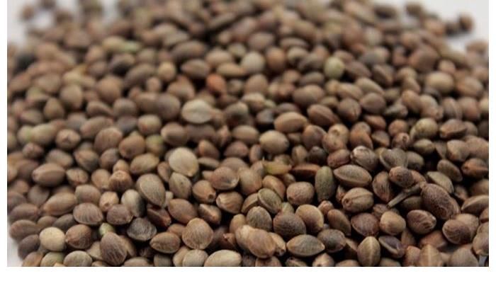 辣椒|胃癌的“祸根”找到了，4类食物比辣椒还伤胃，转告家人少吃一点