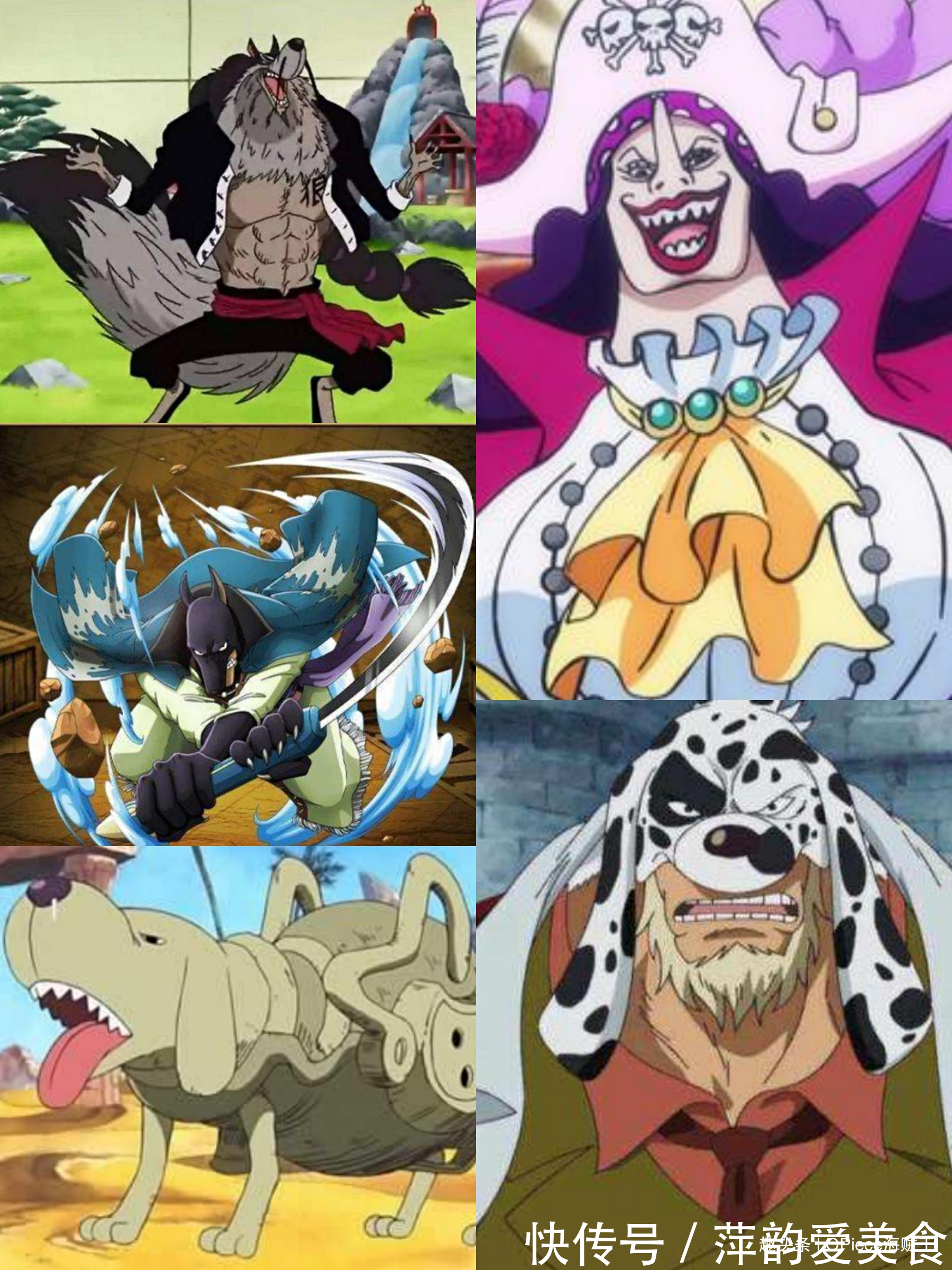 九尾狐|海賊王:奇妙的動物系,同名果實存在多種形態!龍龍果實多達5顆