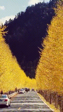 |笑话:我这是在教你无论别人说什么,你的眼睛都要看着路!