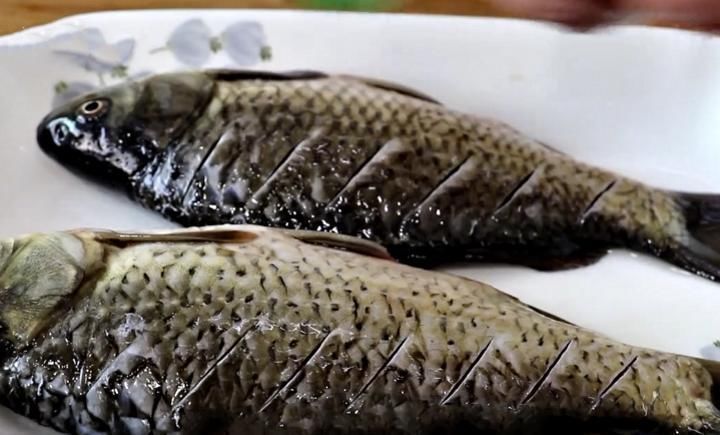 奶白又鲜香|鲫鱼汤怎么做好喝,此做法简单快手零厨艺,汤汁奶白无腥味