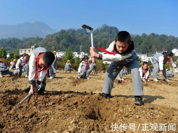 陶行知|半月谈：今天，需要重温陶行知