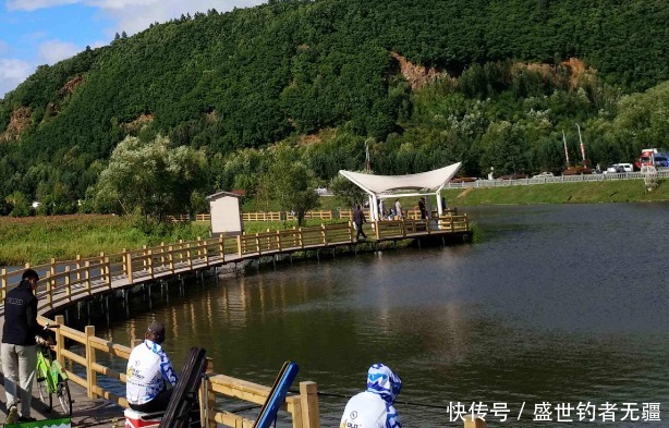 鱼总是在窝边翻,不吃钩?试试这种钓法,命中率极高——盛世三渔