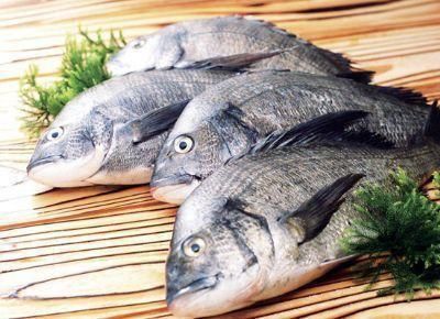 深海鱼|每天喝一杯牛奶，会影响血脂吗？看完涨知识了