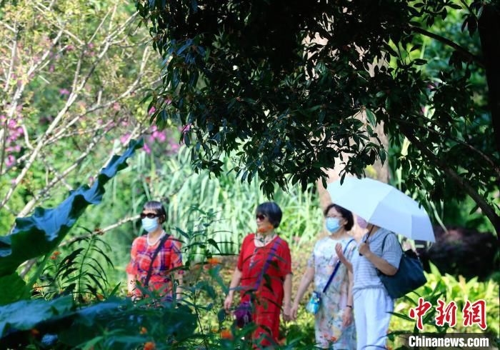 九月桂花香飘锦官城|九月桂花香飘锦官城