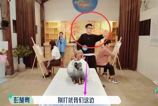 欧欧|格局小玻璃心，看完《桃花坞》相亲大会，找到了彭楚粤不红的原因