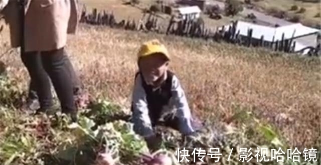 萝卜|萌娃跟着爷爷拔萝卜,接下来的一幕让人哭笑不得:这就是四脚朝天
