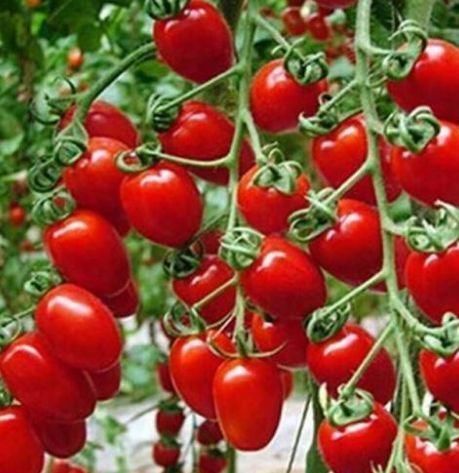 坚果|老年人的“健康零食排行榜”,糖尿病和高血压病人,都可以吃!