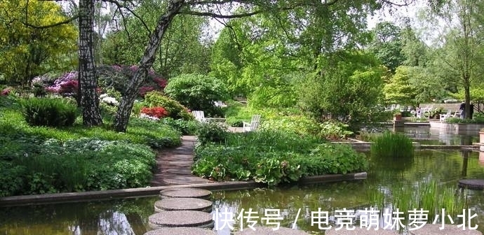 陈毅|陈毅很罕见的一首诗,浅显易懂,却令人深受启发