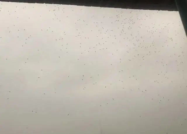 紧急提醒！近期尽量别穿这种颜色的衣服出门！