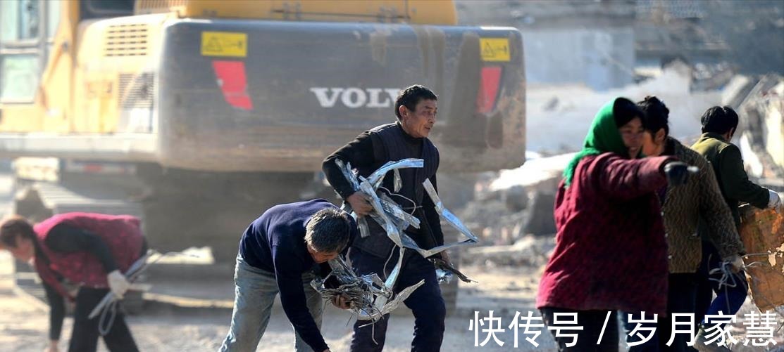 青苗|又要征地了!上海此地新建道路,征收土地4282.6平方米