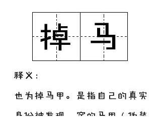 男团们|《极限挑战》成员都爱“躺平”？还有这些网络用语 TA 们都用