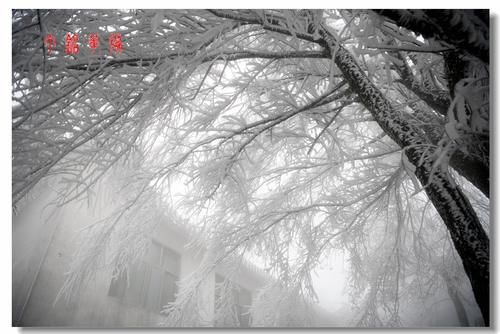 铅山|铅山葛仙山白雪皑皑，犹如冰雪童话世界