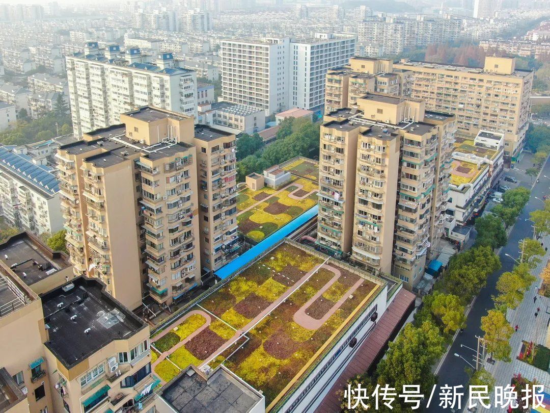 新建|量价齐升！申城楼市回暖