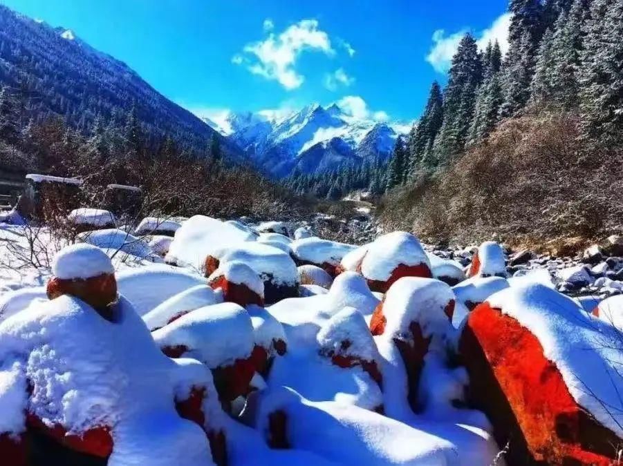 红军|蓝湖黄叶，红日白雪，这是达古之冬的别样魅力