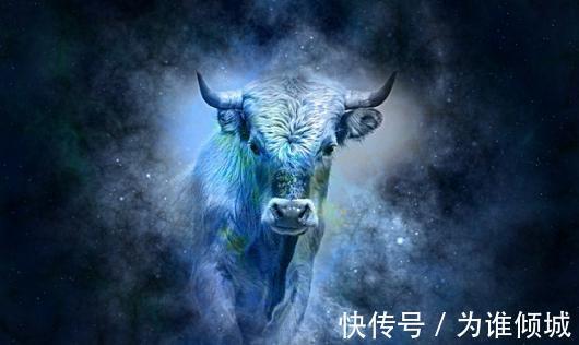 相处|好相处的金牛们，面对爱情难主动，充满爱心